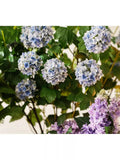 Pottery Barn snowball branch H124cm artificial decor - British product