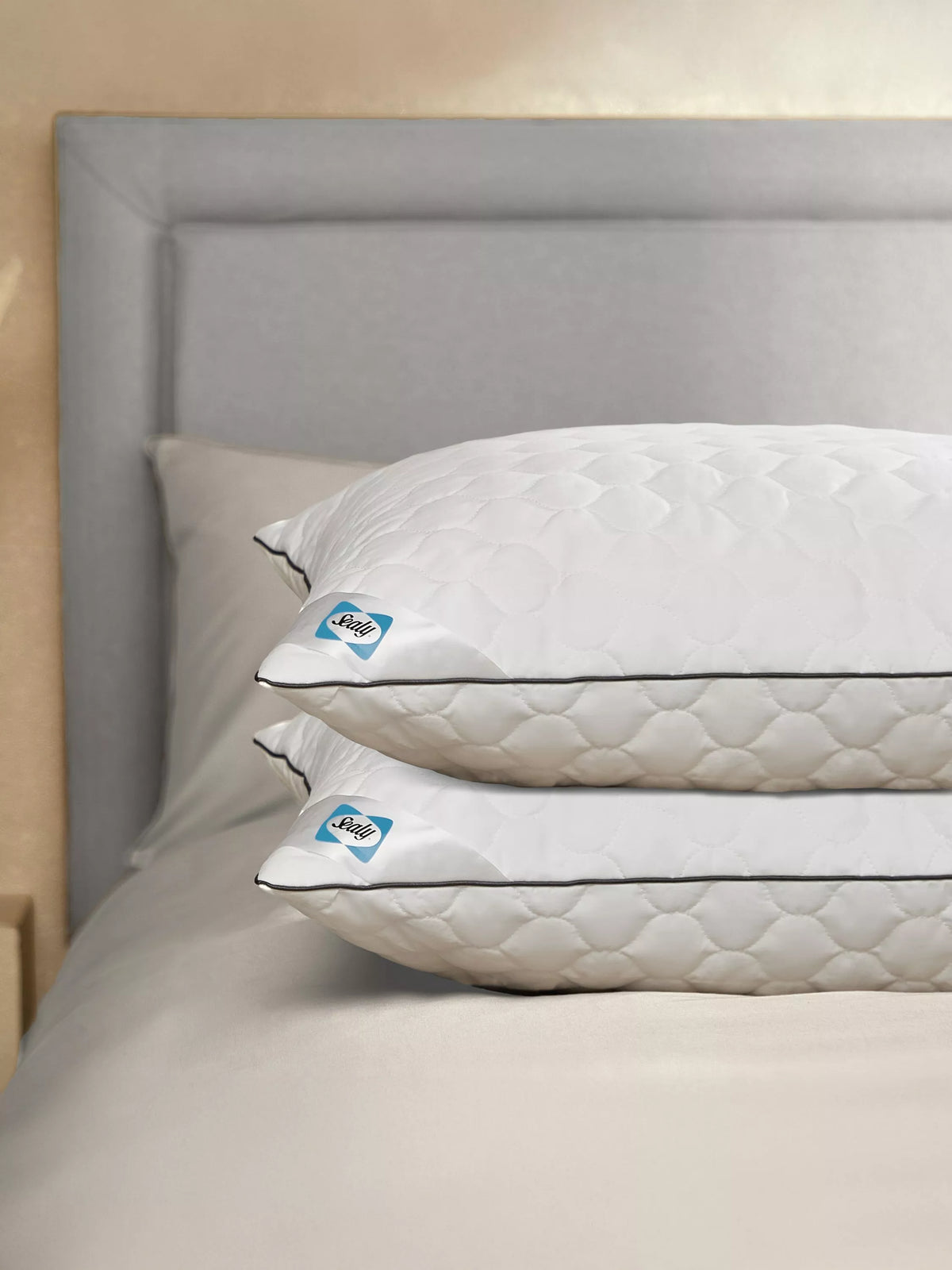 Sealy Deeply Full standard pillow pair (British brand)