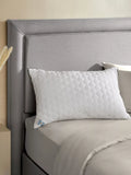 Sealy Deeply Full standard pillow pair (British brand)