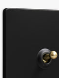 Dowsing & Reynolds matt black toggle switch, imported from the UK