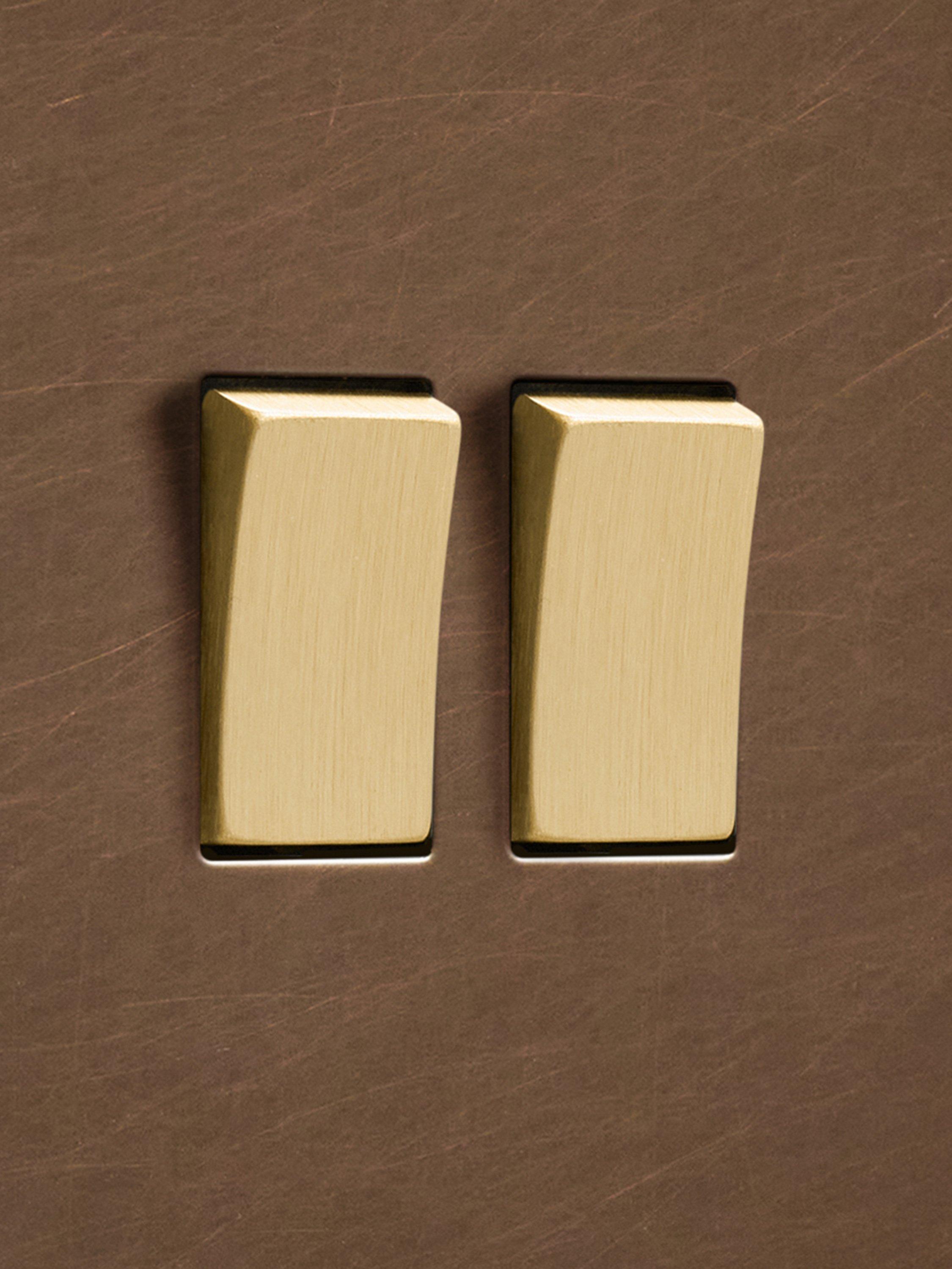 Dowsing & Reynolds antique brass double rocker switch - British product