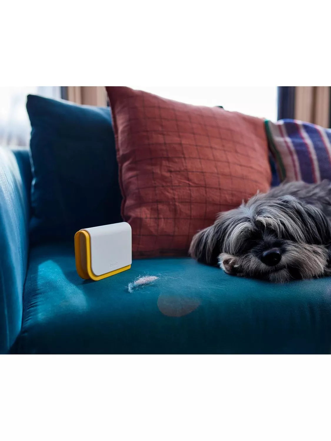 Joseph Joseph pet hair remover upholstery tool (British brand)