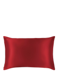 Slip Pure Silk Zippered Pillowcase Queen Size 76 x 51cm