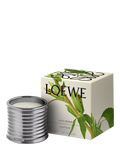 LOEWE Black Sesame scented candle 280g, UK version