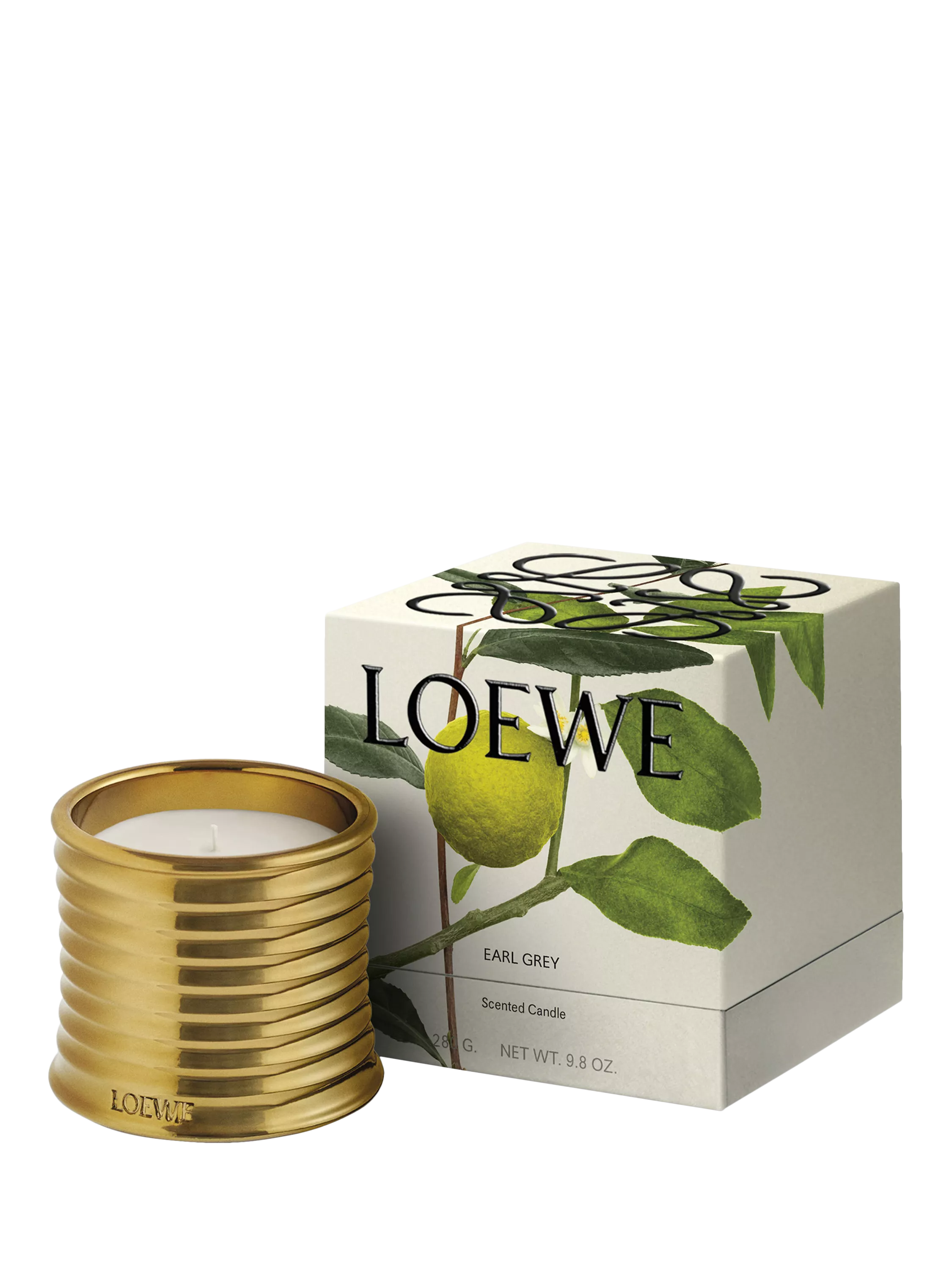 LOEWE Earl Grey scented candle 280g (British brand)