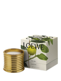 LOEWE Earl Grey scented candle 280g (British brand)