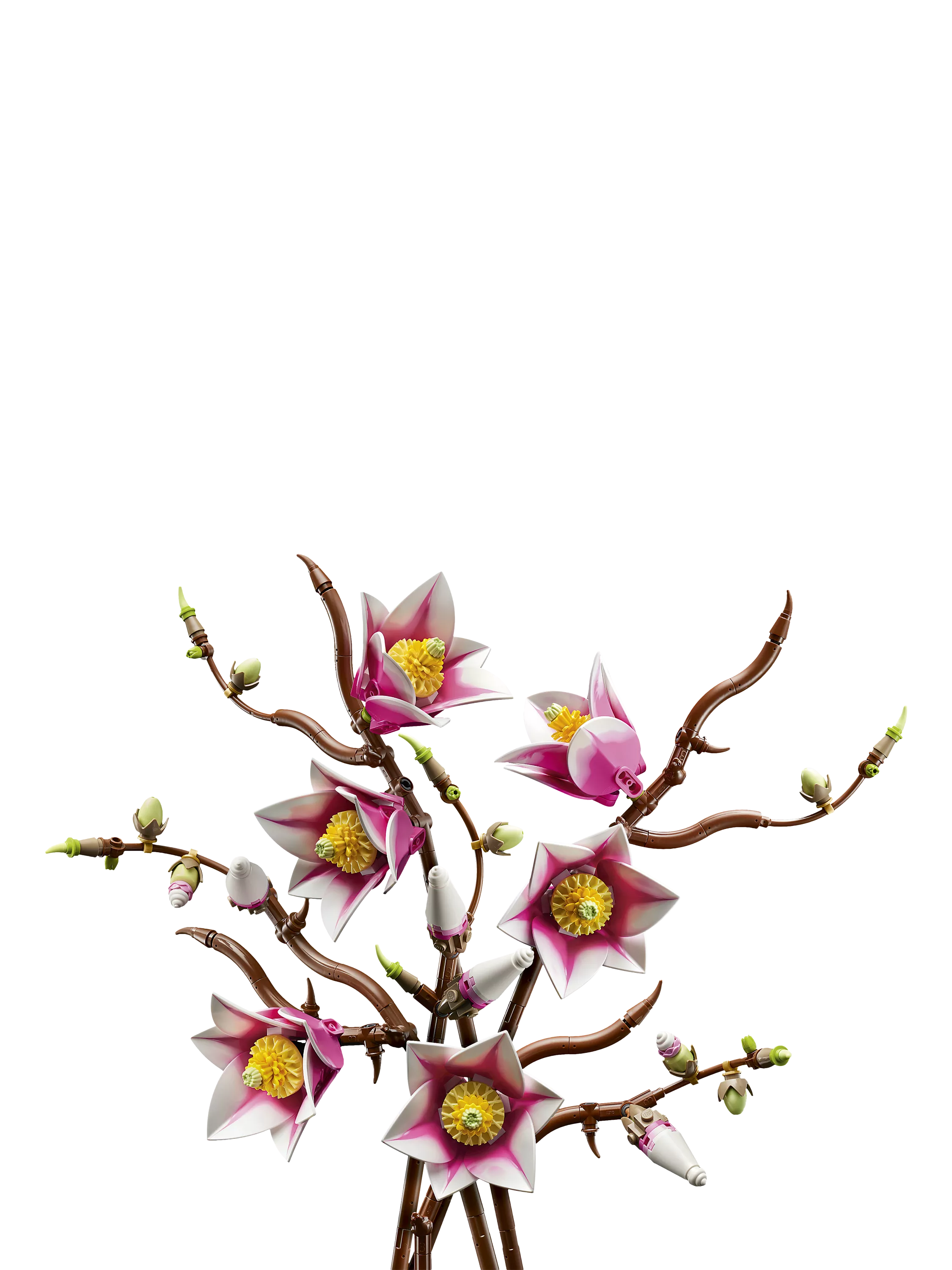 LEGO Botanicals Magnolia Branches building set 435 pieces (British brand)