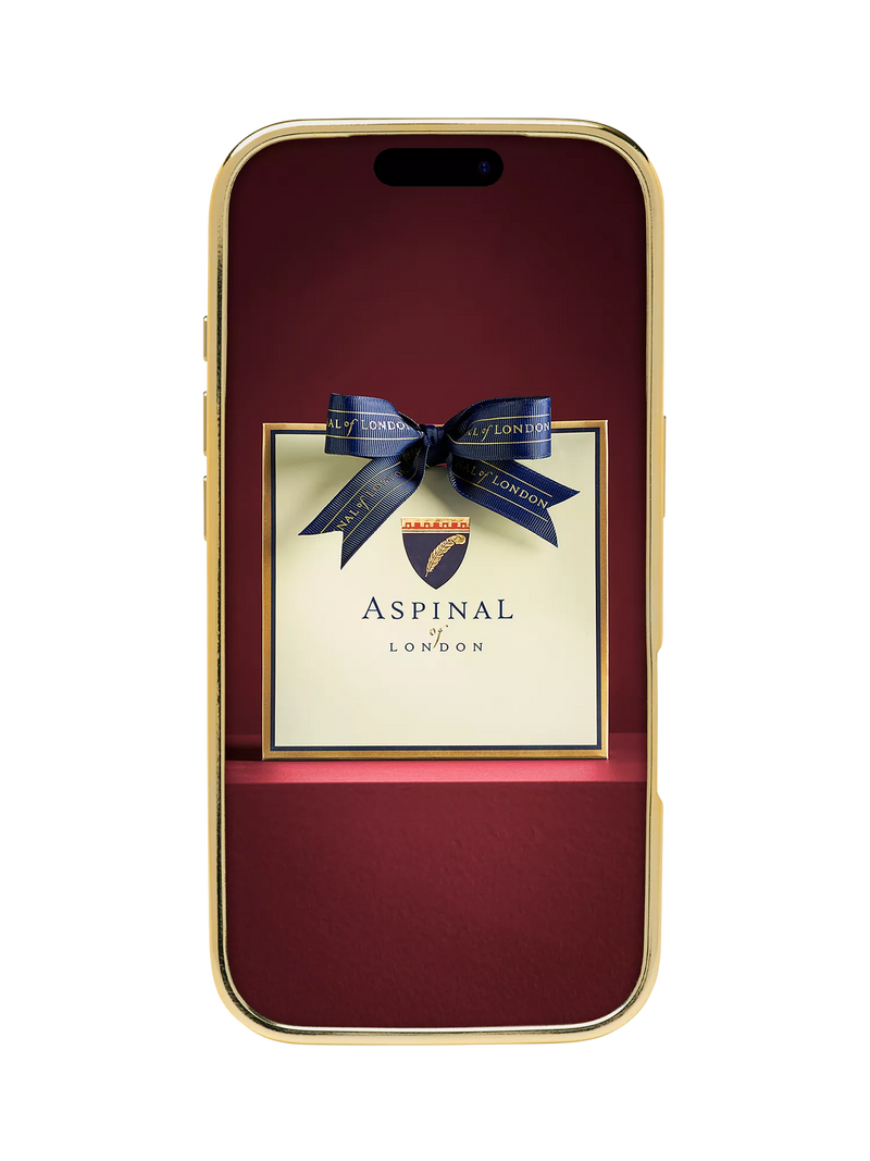 Aspinal of London leather case Evergreen iPhone 17 Pro, UK version