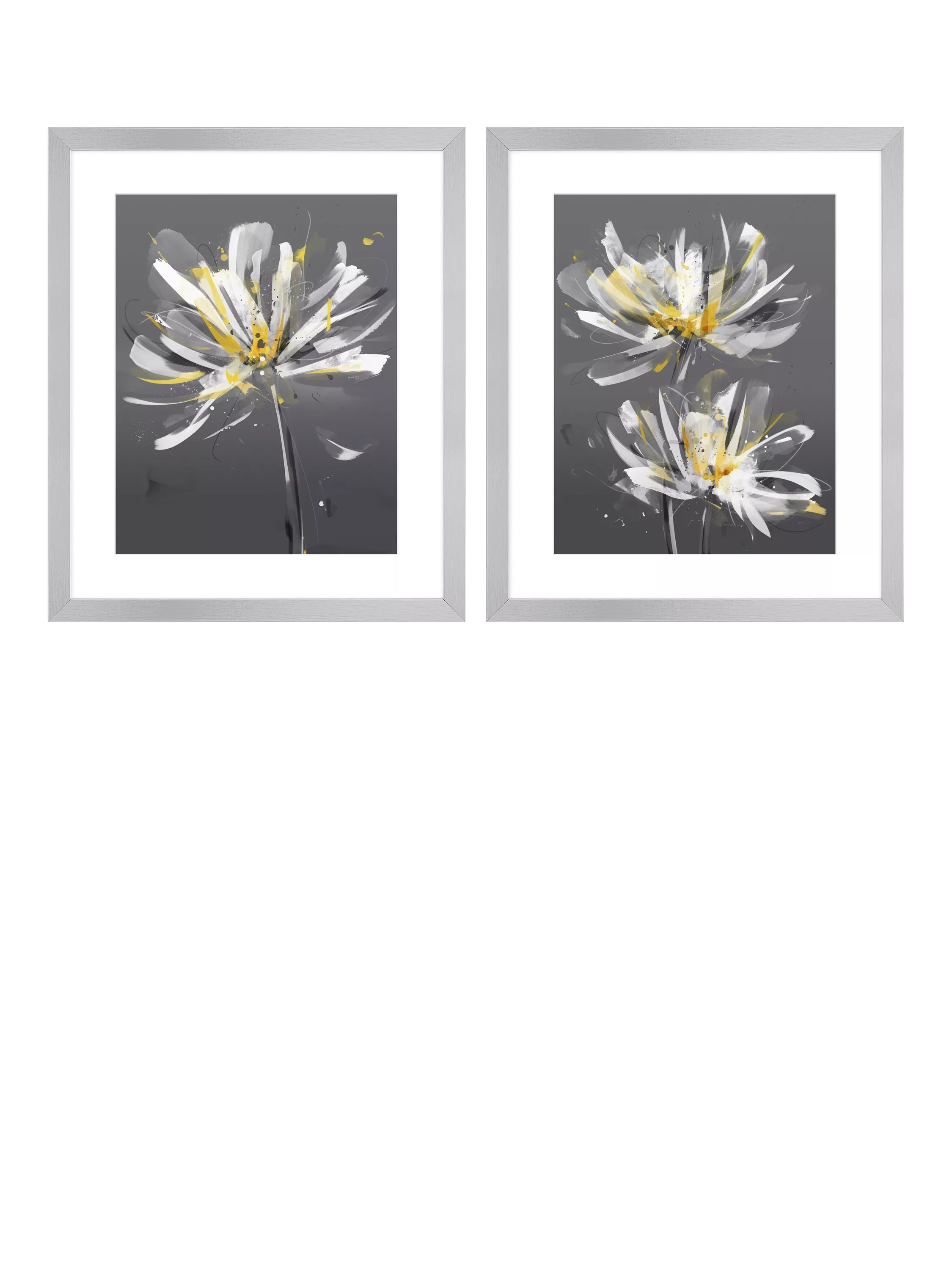 John Lewis framed print set Dahlia floral 54 x 64cm, UK version