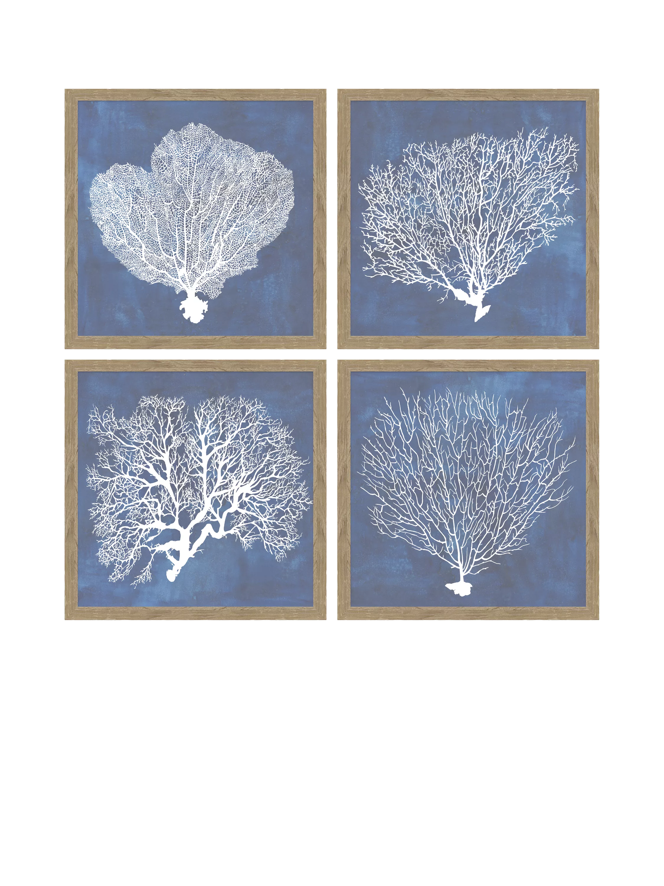 John Lewis framed print coral 32x32cm (British brand)