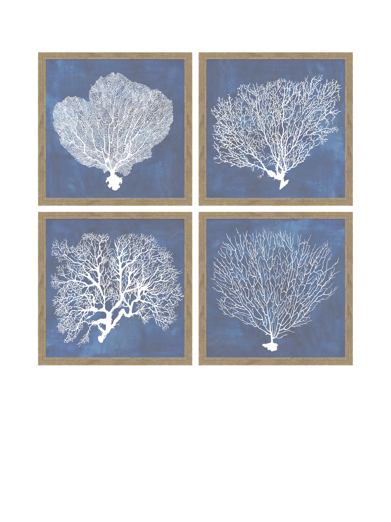 John Lewis framed print coral 32x32cm (British brand)