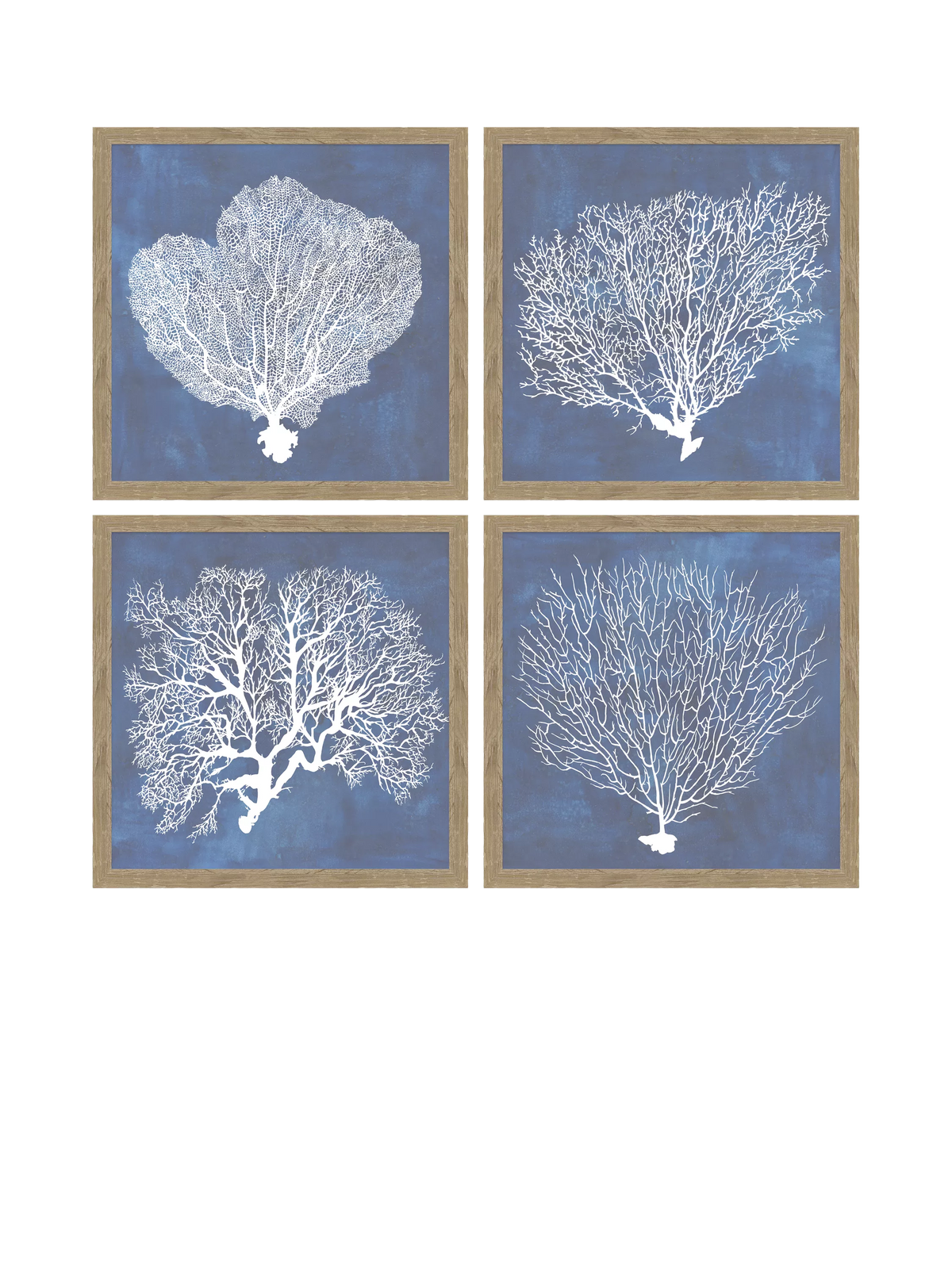 John Lewis framed print coral 32x32cm (British brand)