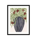 John Lewis La Poire 'May Tulips' Framed Print & Mount, Black/Green, 40cm x 50cm