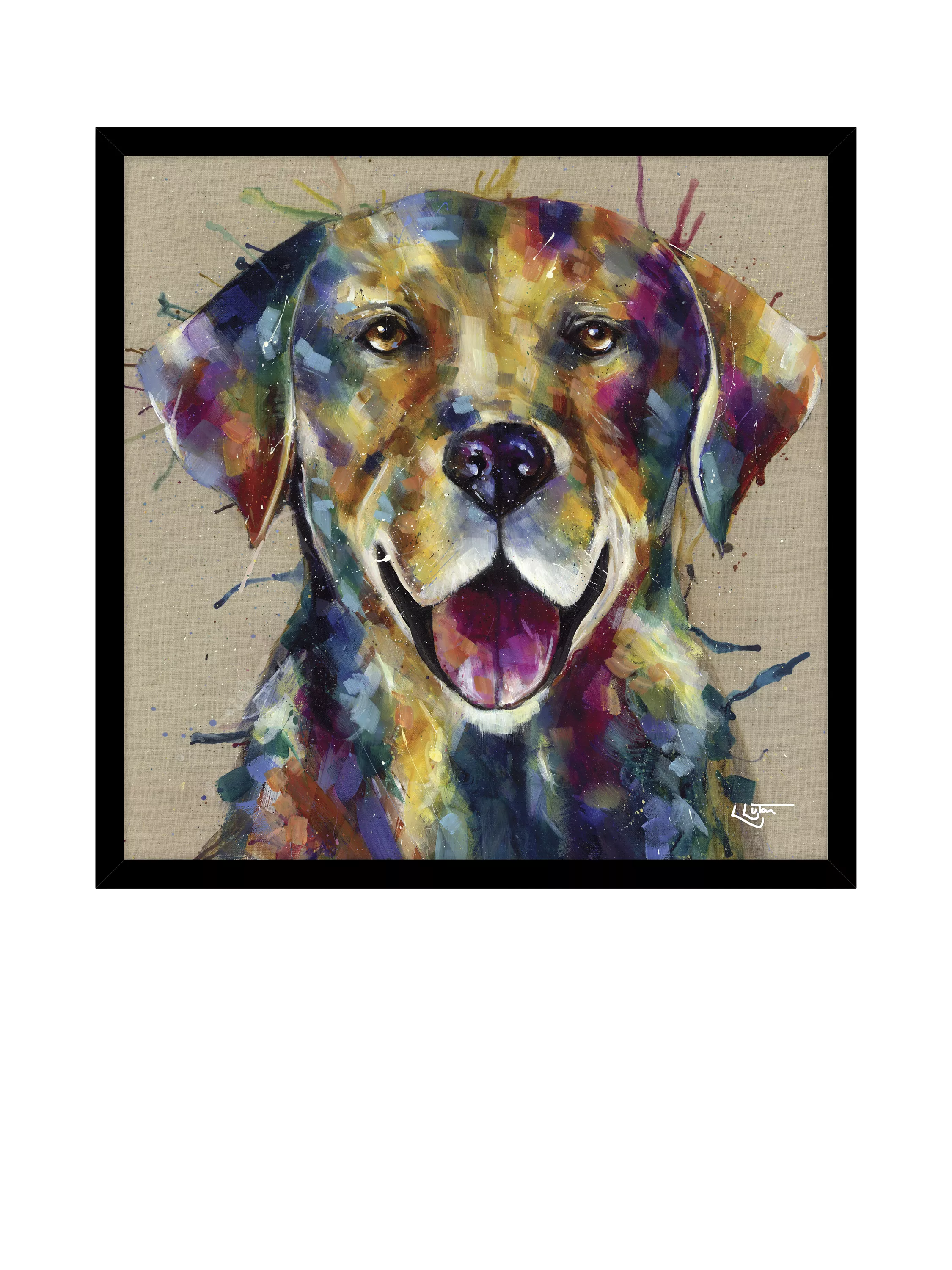 John Lewis framed print Bella Labrador 74cm - British product