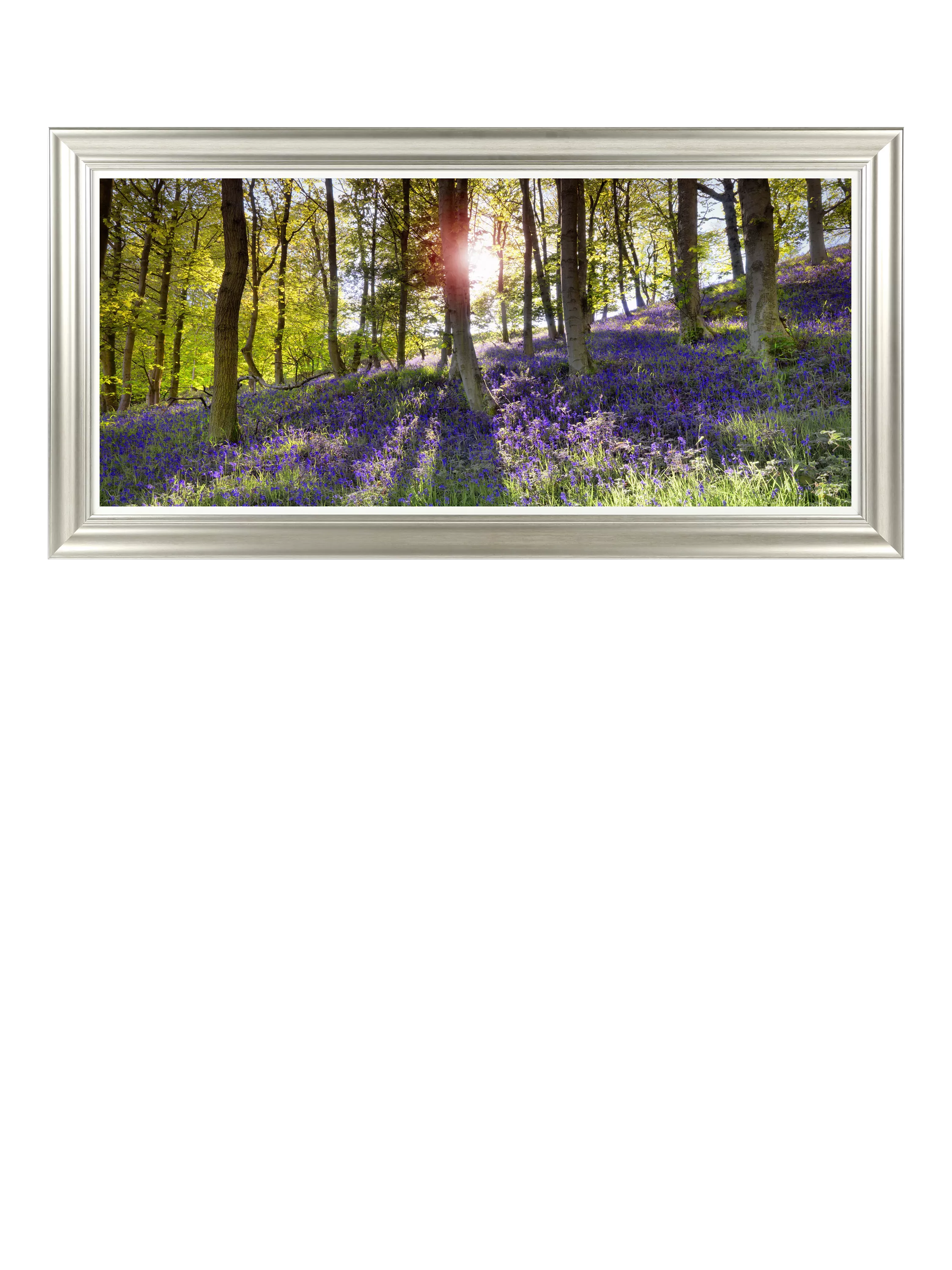 John Lewis Bluebell Woods photographic print 111 x 56cm (British brand)