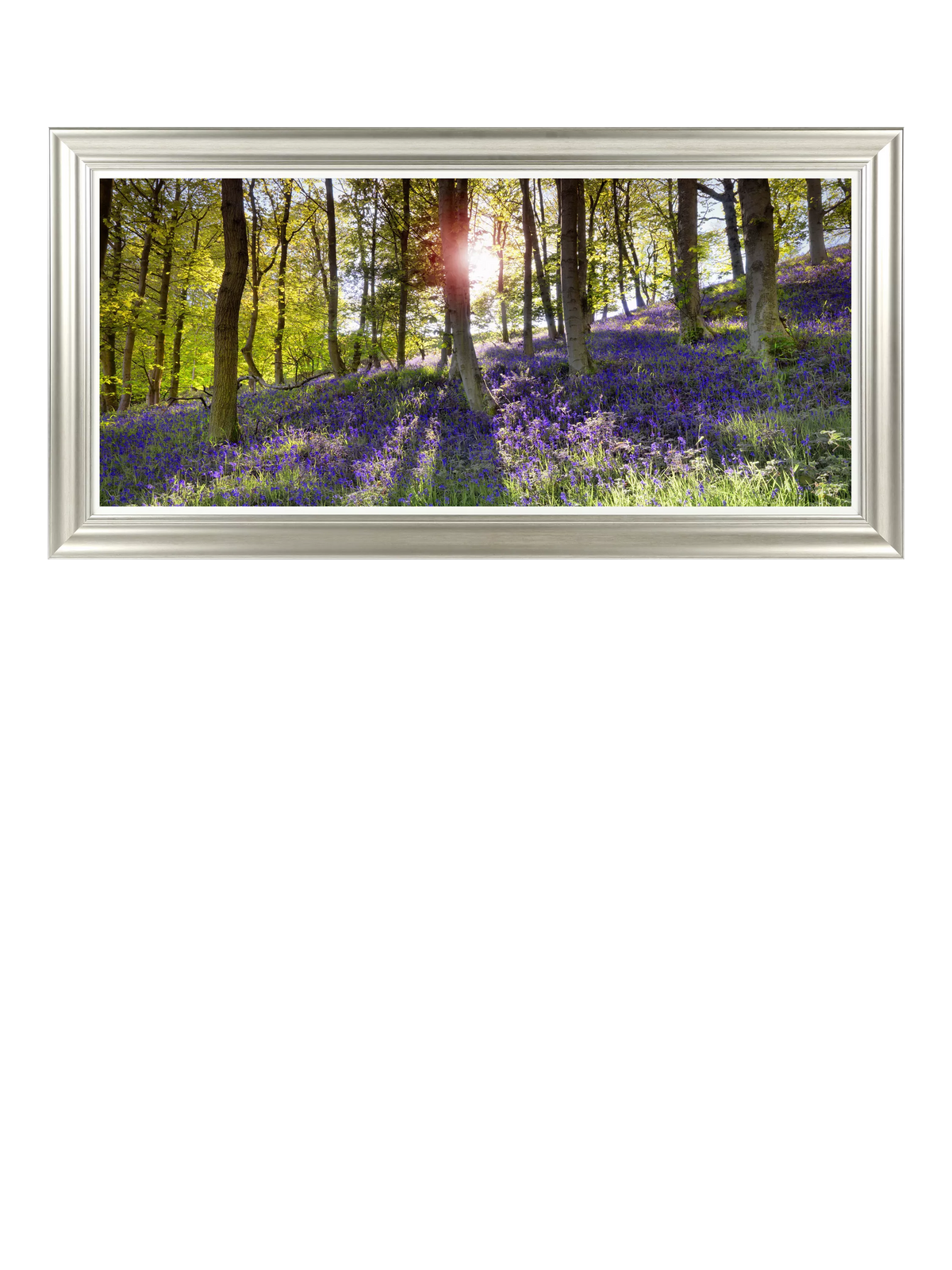 John Lewis Bluebell Woods photographic print 111 x 56cm (British brand)