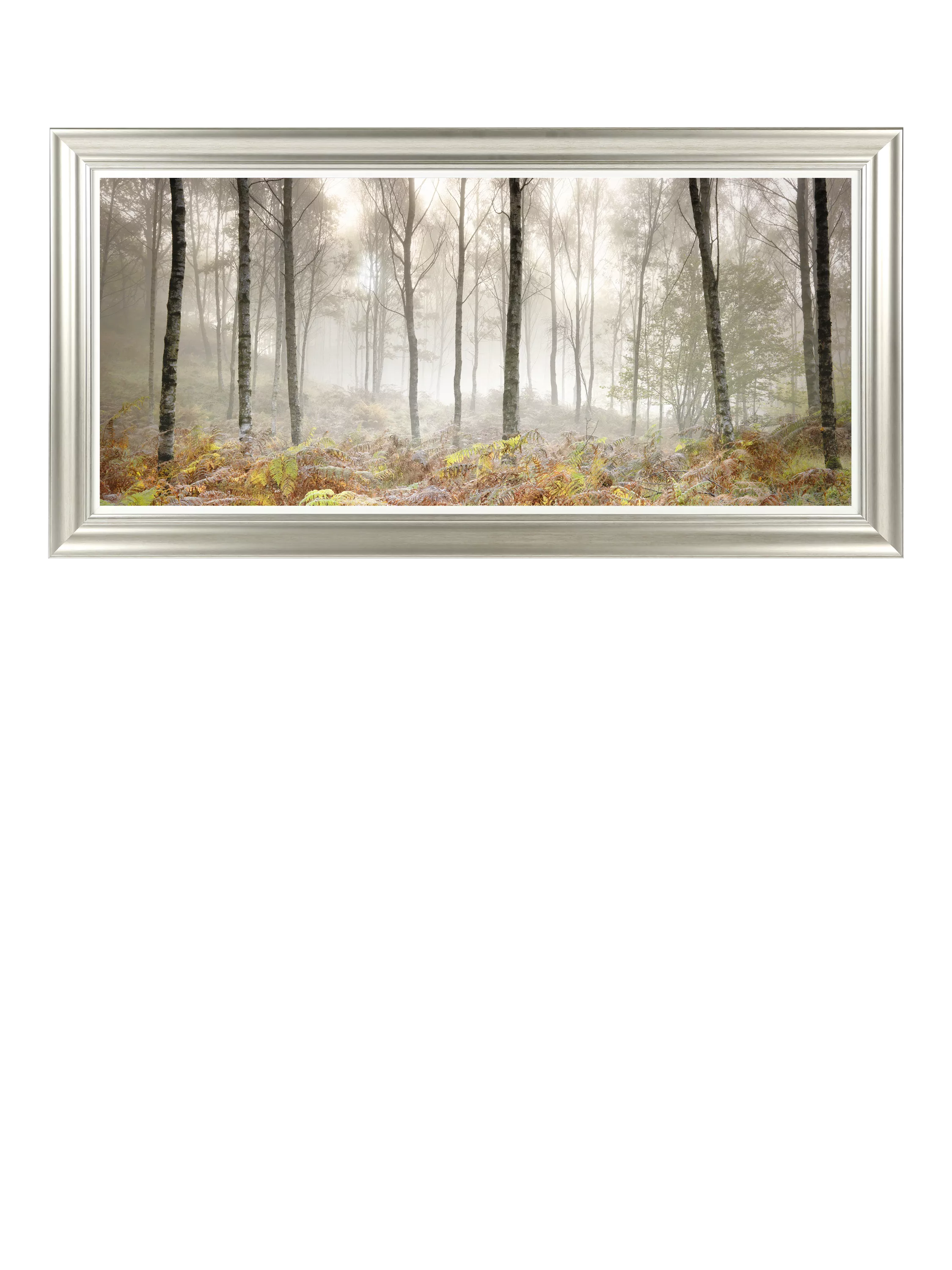 John Lewis Mike Shepherd 'Morning' photographic print 111x56cm, UK version