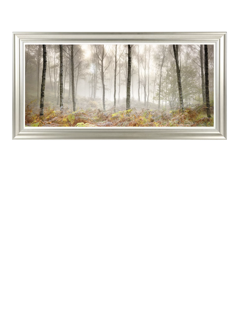 John Lewis Mike Shepherd 'Morning' photographic print 111x56cm, UK version
