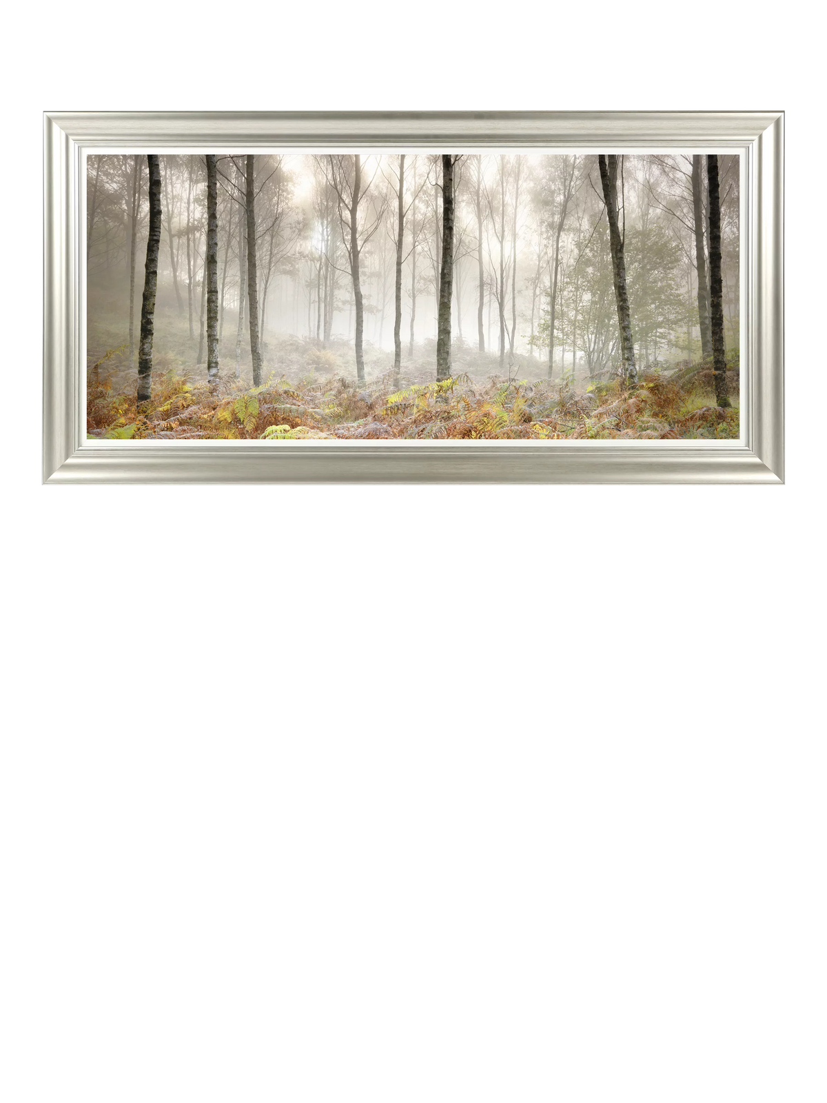John Lewis Mike Shepherd 'Morning' photographic print 111x56cm, UK version