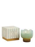 Paddywax tulip scented candle 541g, imported from the UK