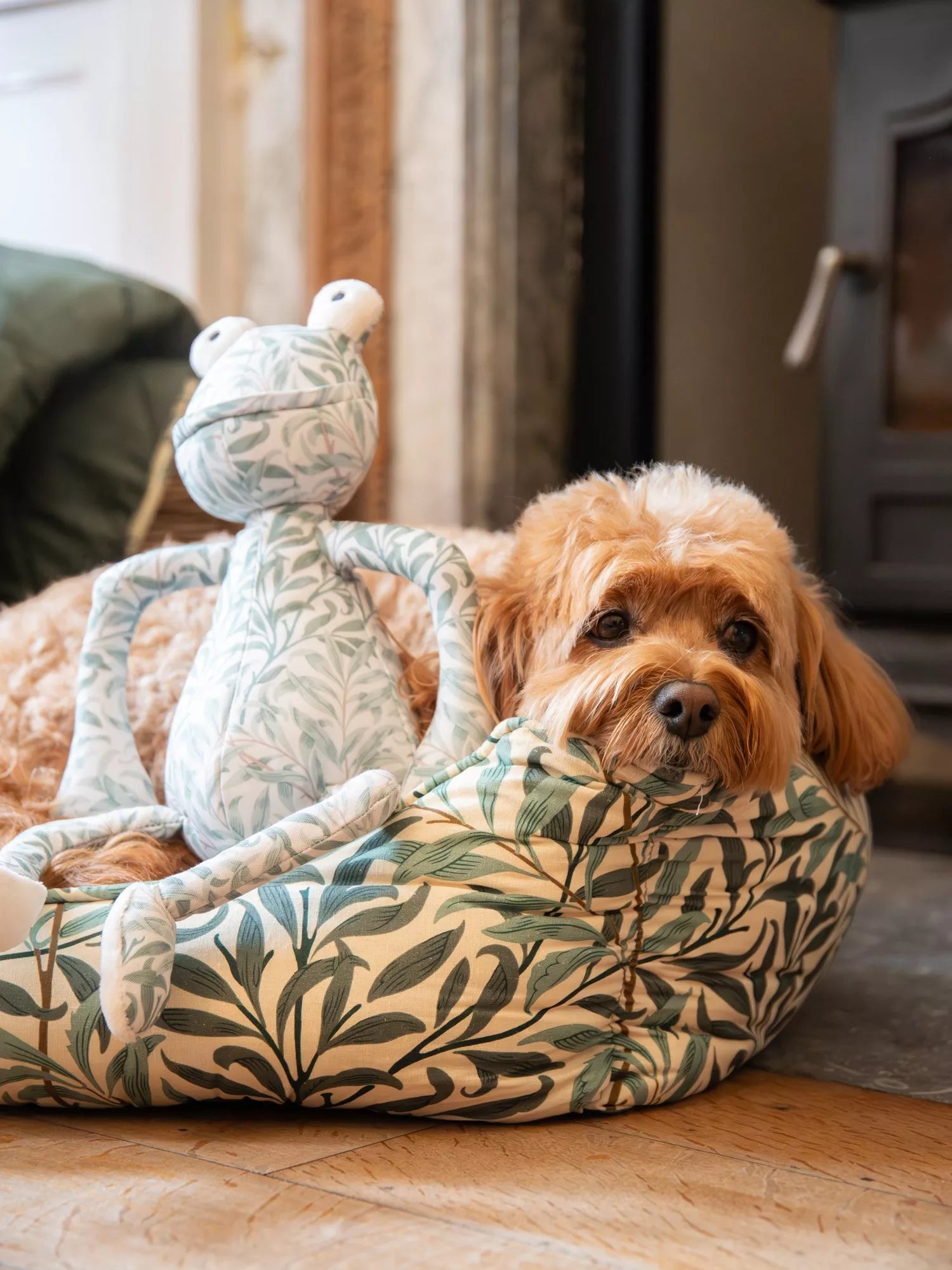 Morris & Co Willow Boughs frog dog toy (British brand)