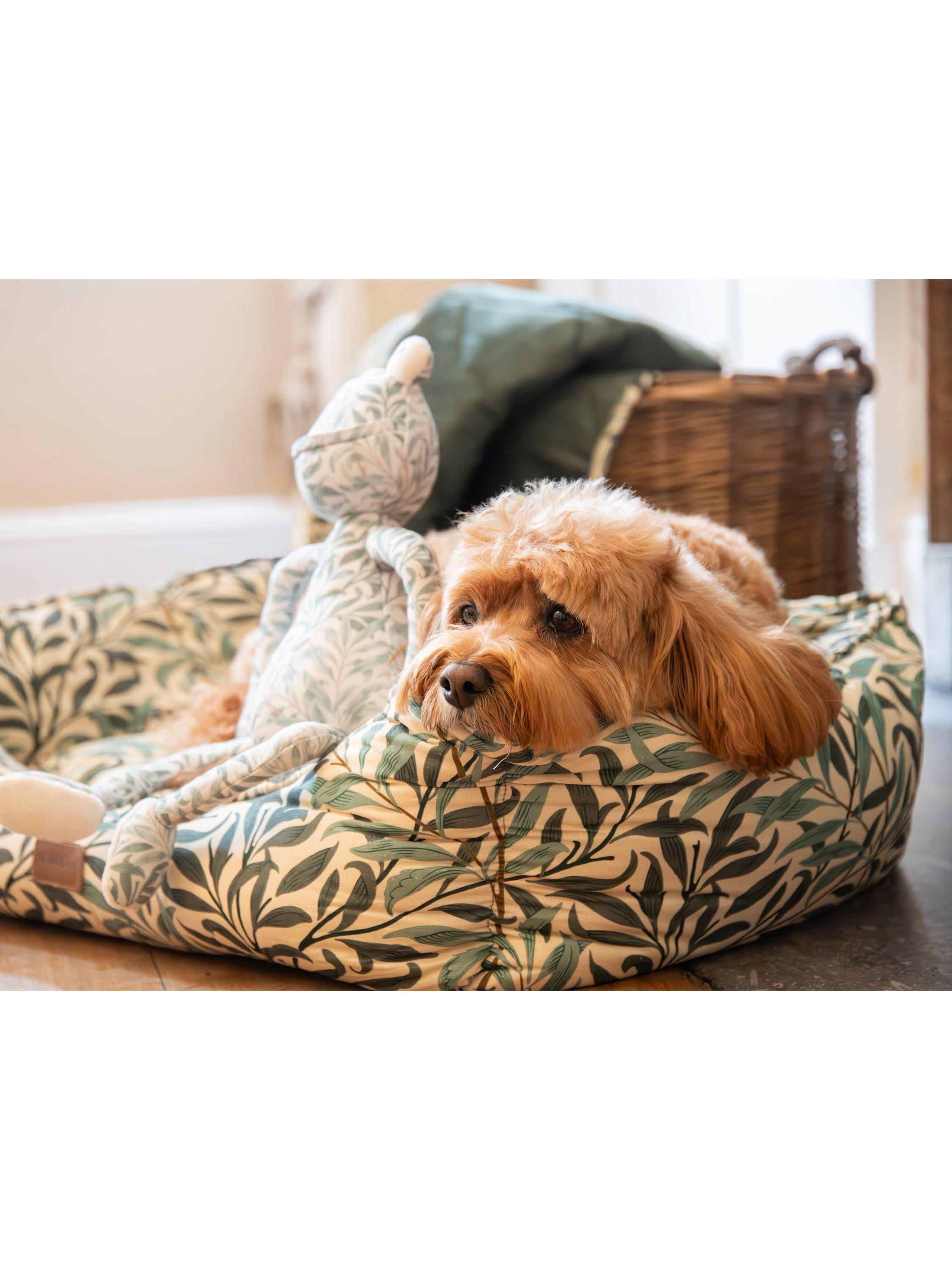 Morris & Co Willow Boughs frog dog toy (British brand)