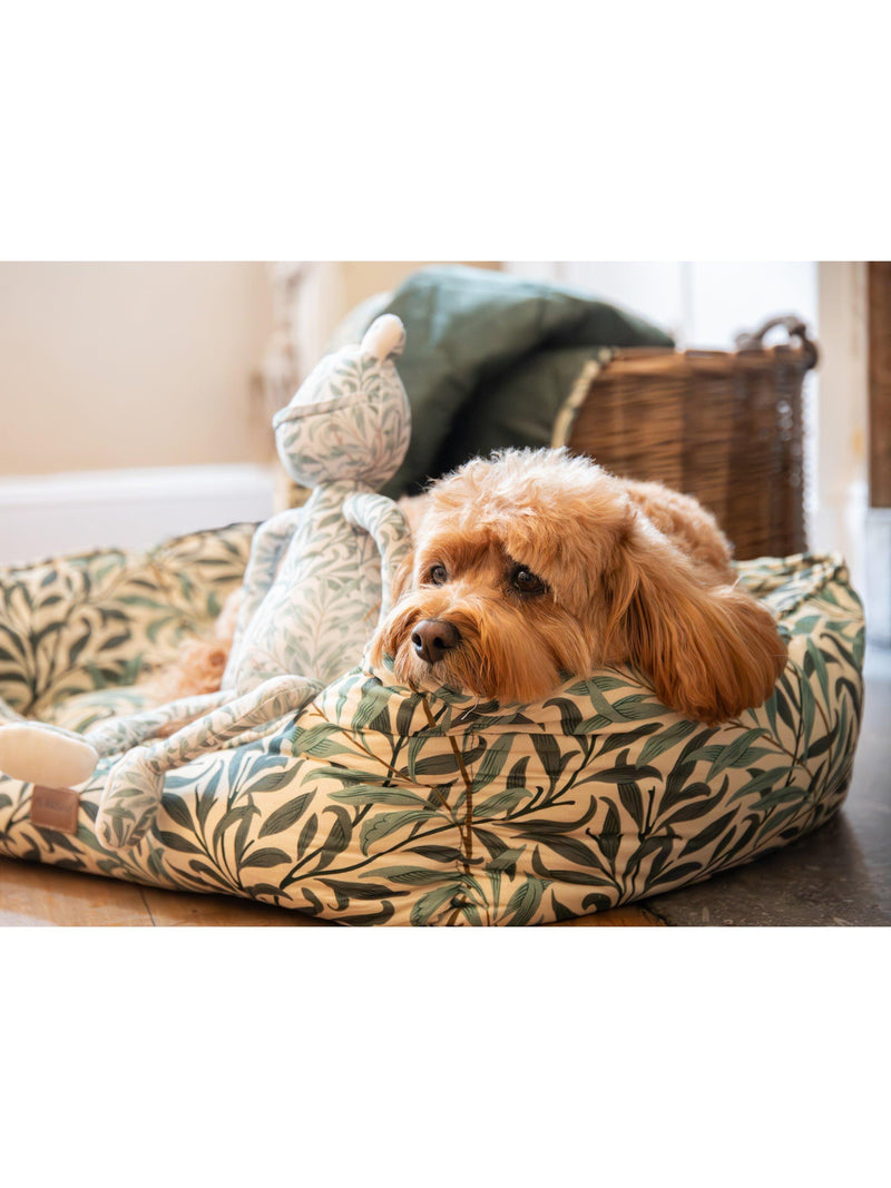 Morris & Co Willow Boughs frog dog toy (British brand)