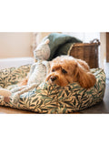 Morris & Co Willow Boughs frog dog toy (British brand)