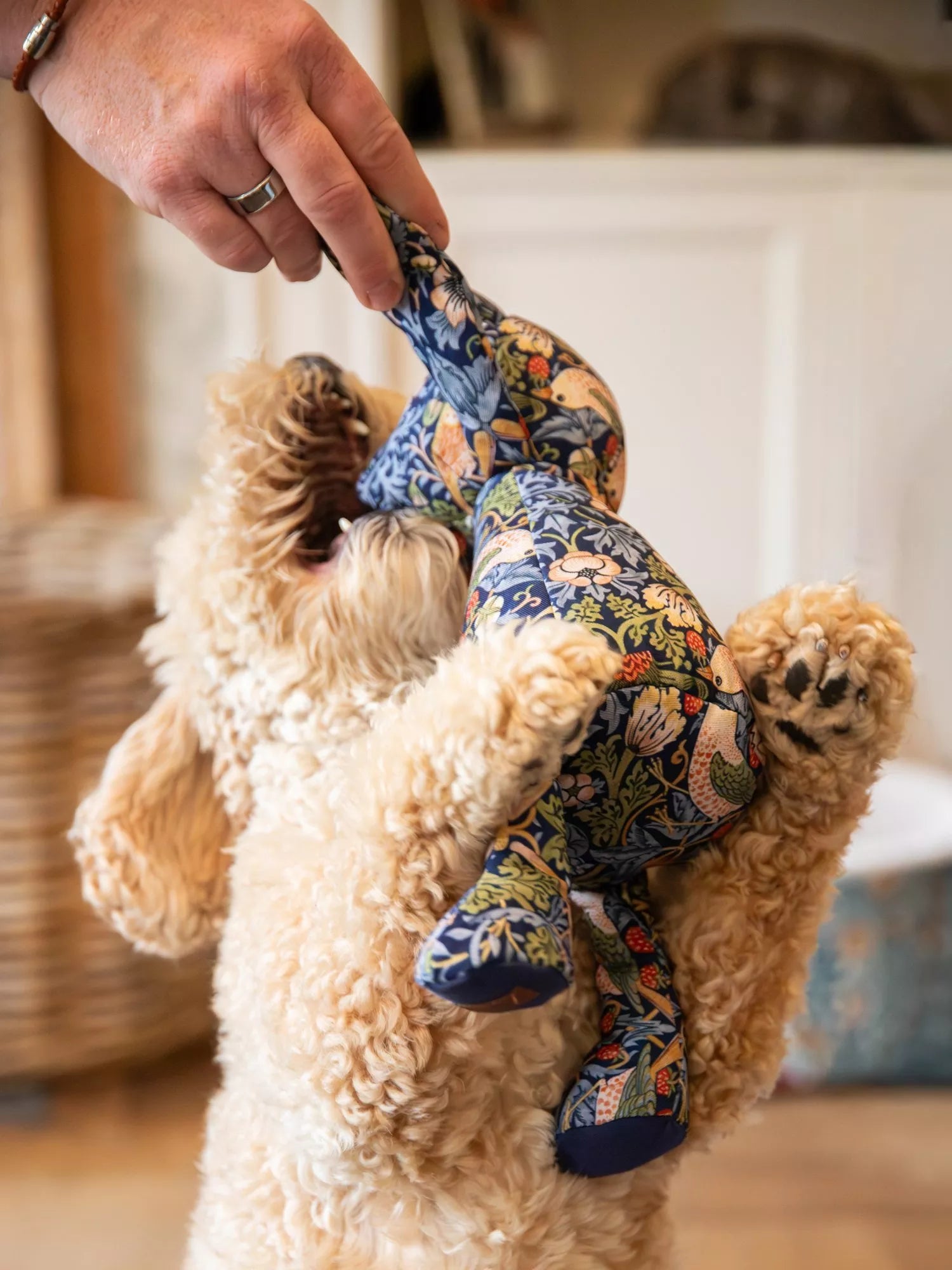 Morris & Co. Strawberry Thief Bear dog toy (British brand)