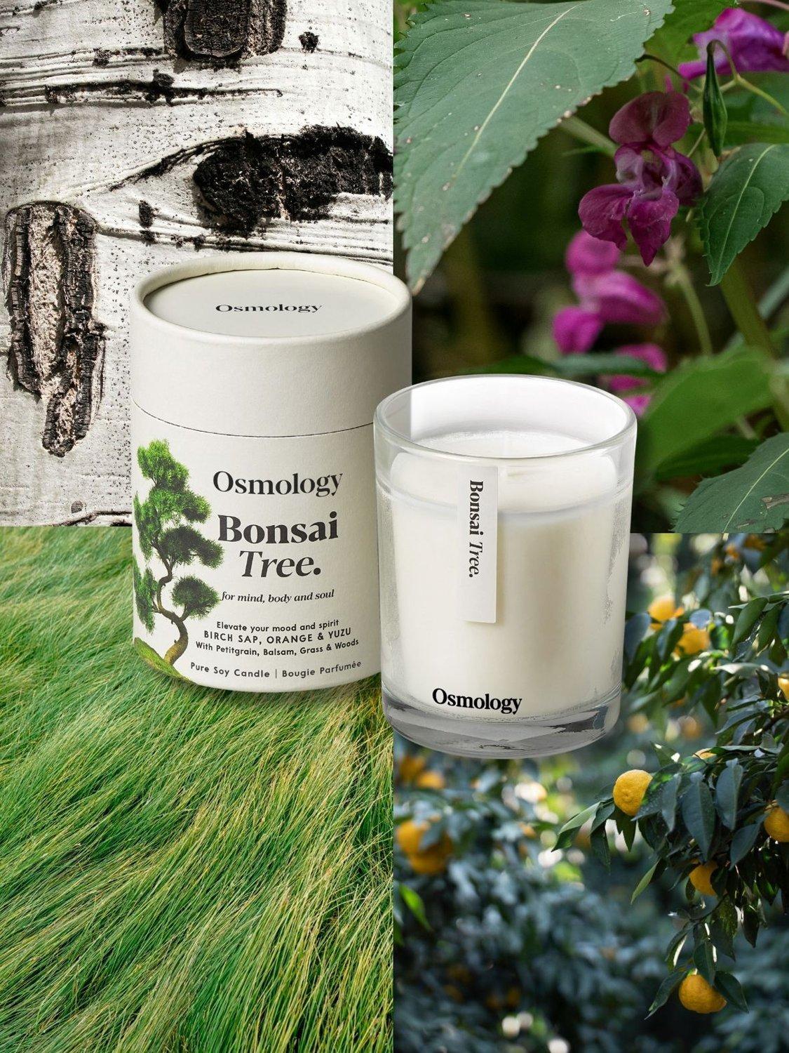 Osmology by Aery Bonsai Tree scented candle 200g, UK version