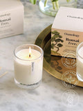 Osmology by Aery Bonsai Tree scented candle 200g, UK version