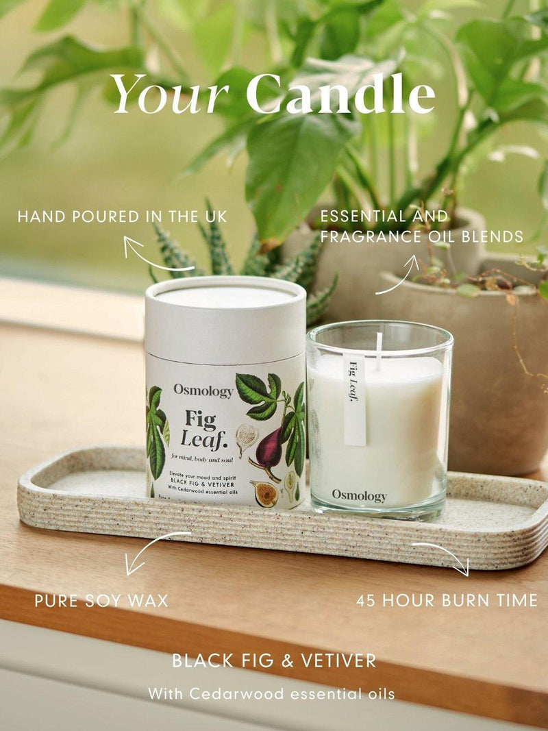 Osmology by Aery fig leaf scented candle 200g, imported from the UK