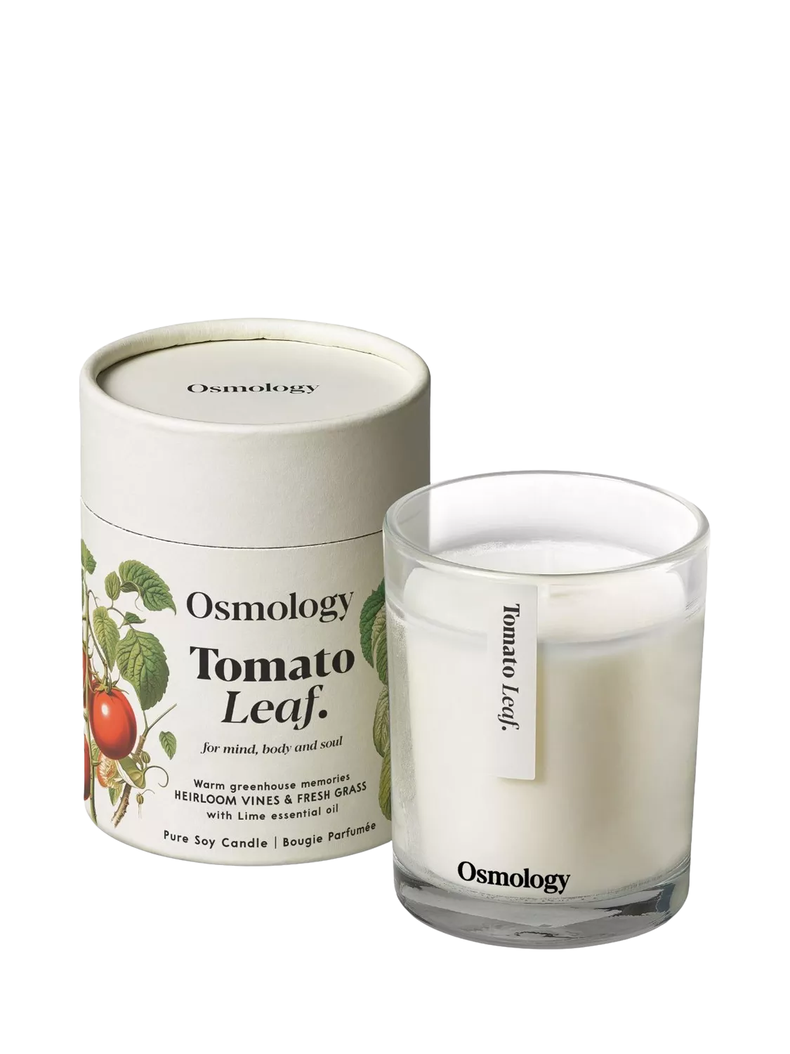 Osmology by Aery Tomato Leaf Scented Candle, 200g