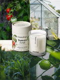 Osmology by Aery Tomato Leaf scented candle 200g, UK version