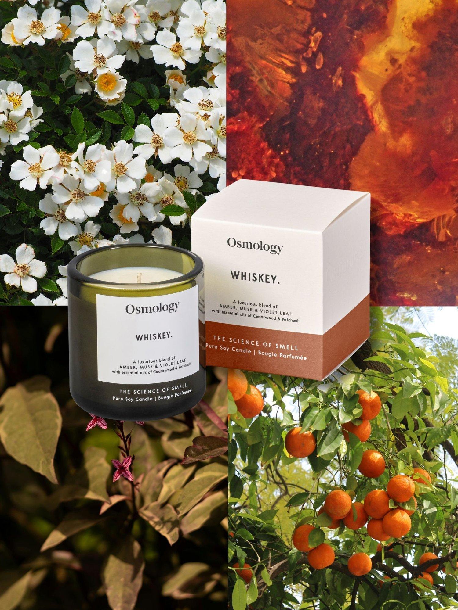 Osmology by Aery Utility Whiskey scented candle 200g - British product