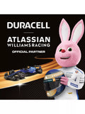 Duracell Plus AA batteries pack of 12, UK version