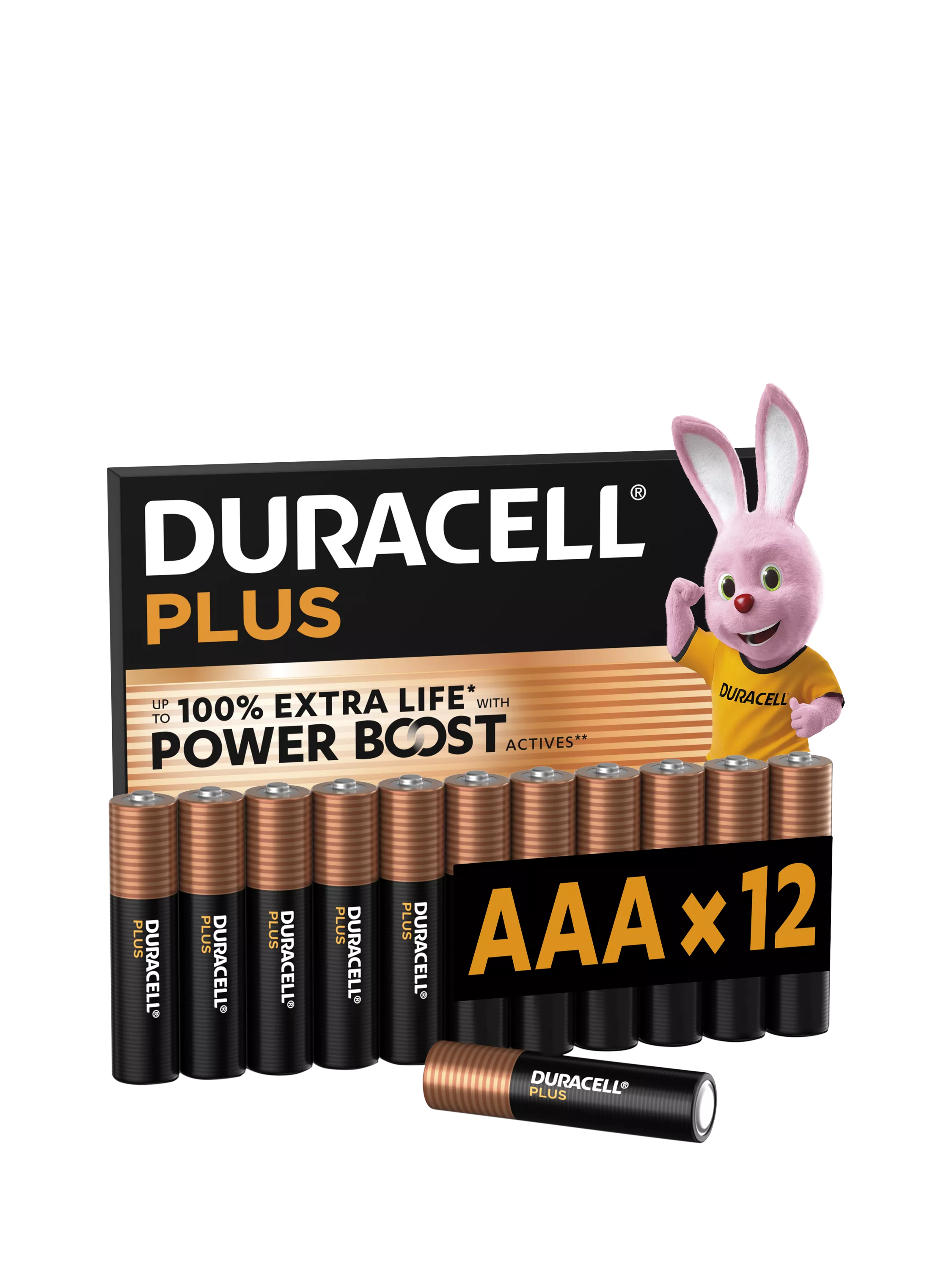 Duracell Plus AAA batteries 12 pack (British brand)