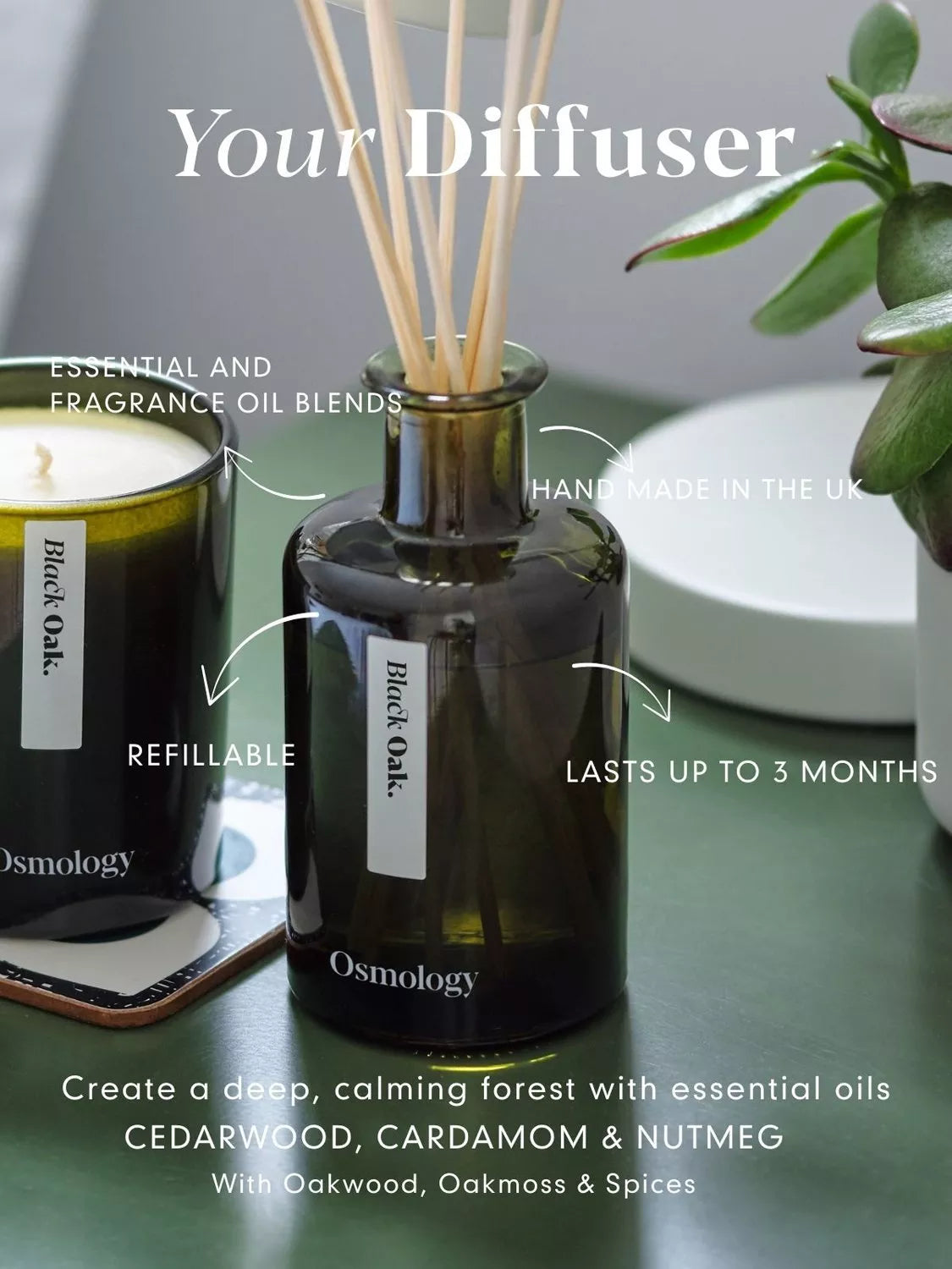 Osmology by Aery Black Oak reed diffuser 200ml (British brand)