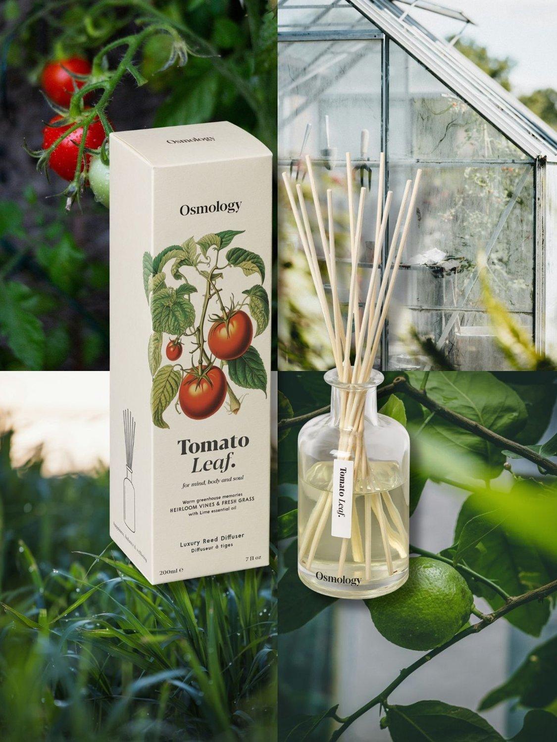 Osmology by Aery tomato leaf reed diffuser 200ml, UK version