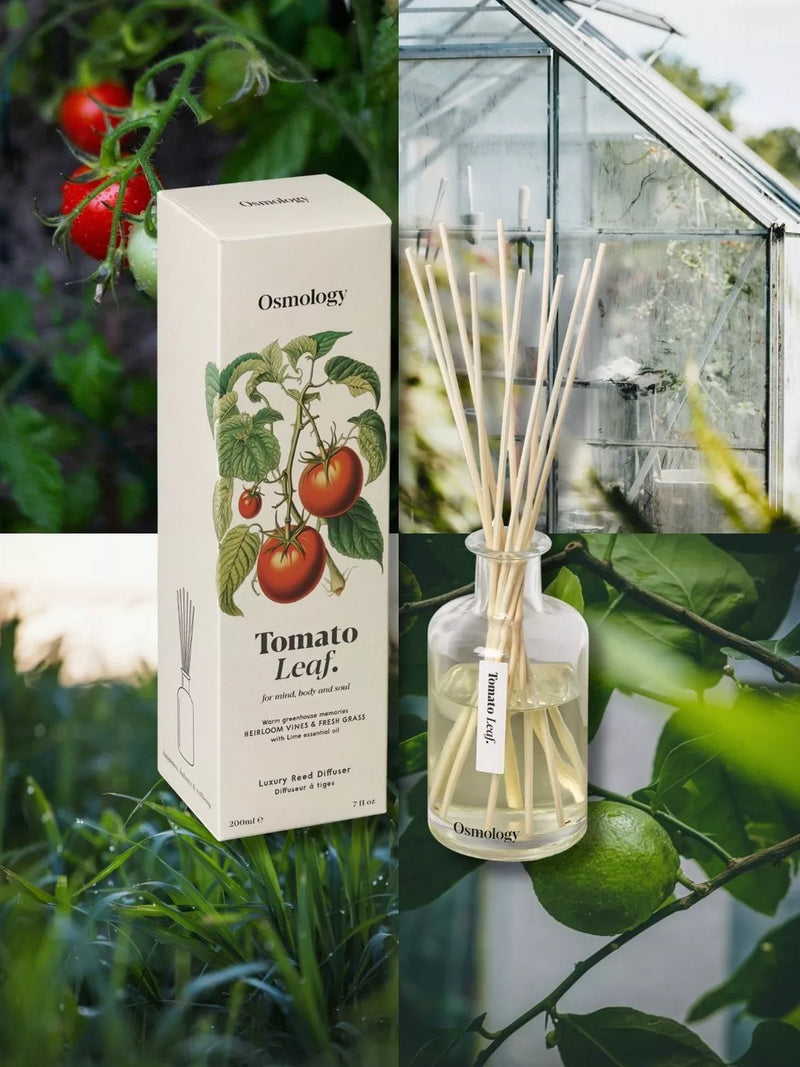 Osmology by Aery tomato leaf reed diffuser 200ml, UK version