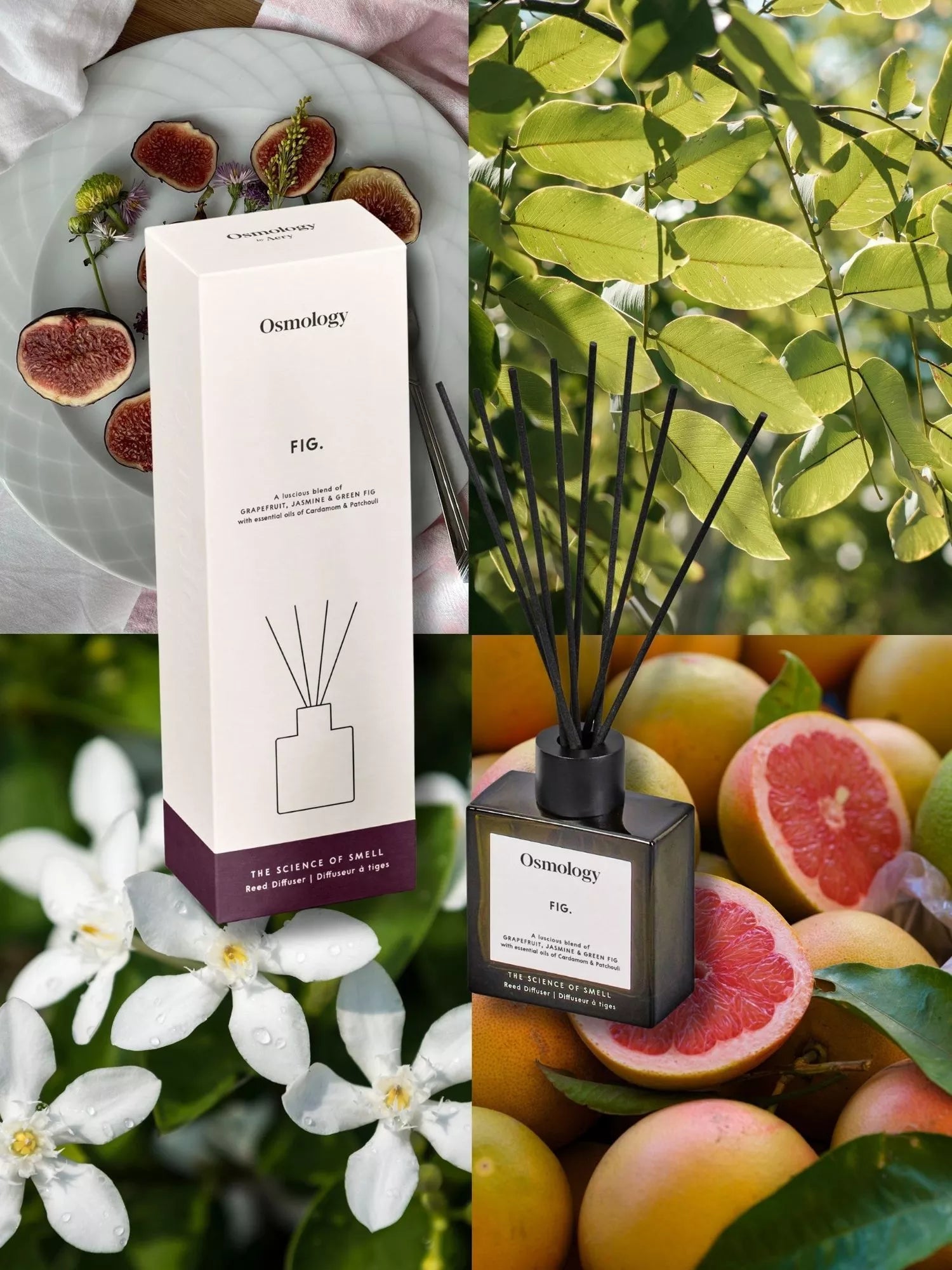 Osmology by Aery Utility Fig reed diffuser 150ml, UK version