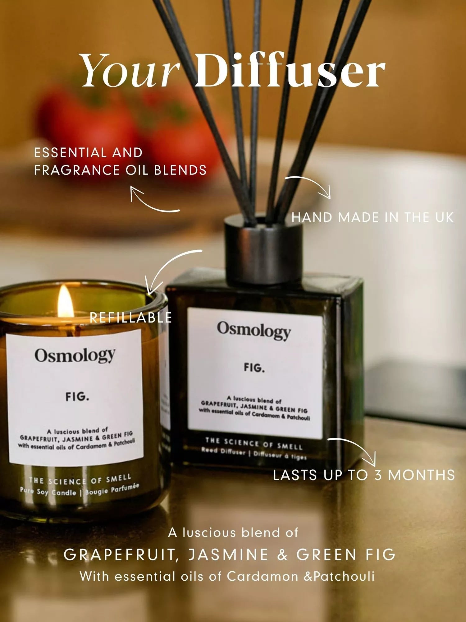 Osmology by Aery Utility Fig reed diffuser 150ml, UK version