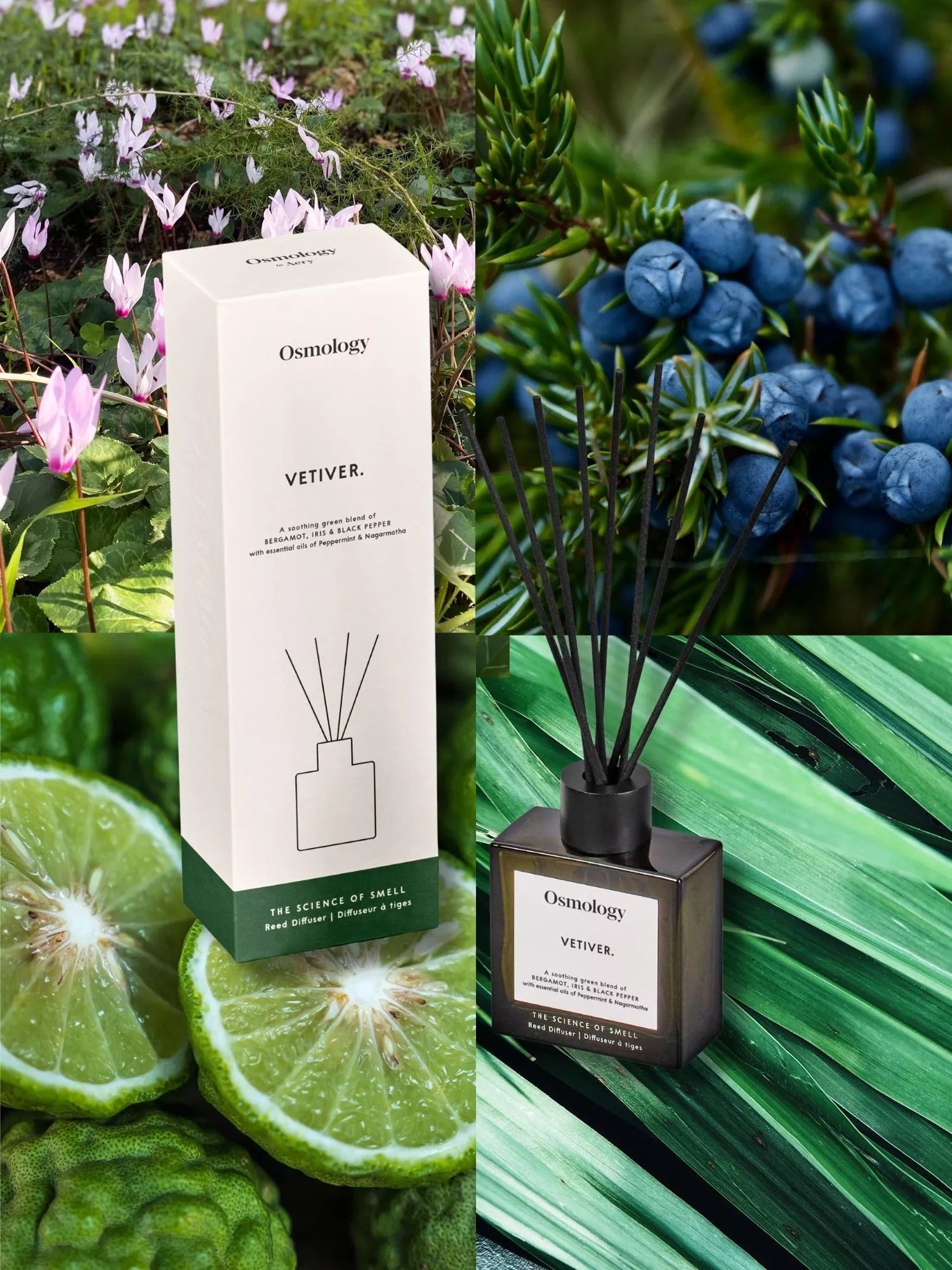 Osmology by Aery Utility Vetiver reed diffuser 150ml - British product