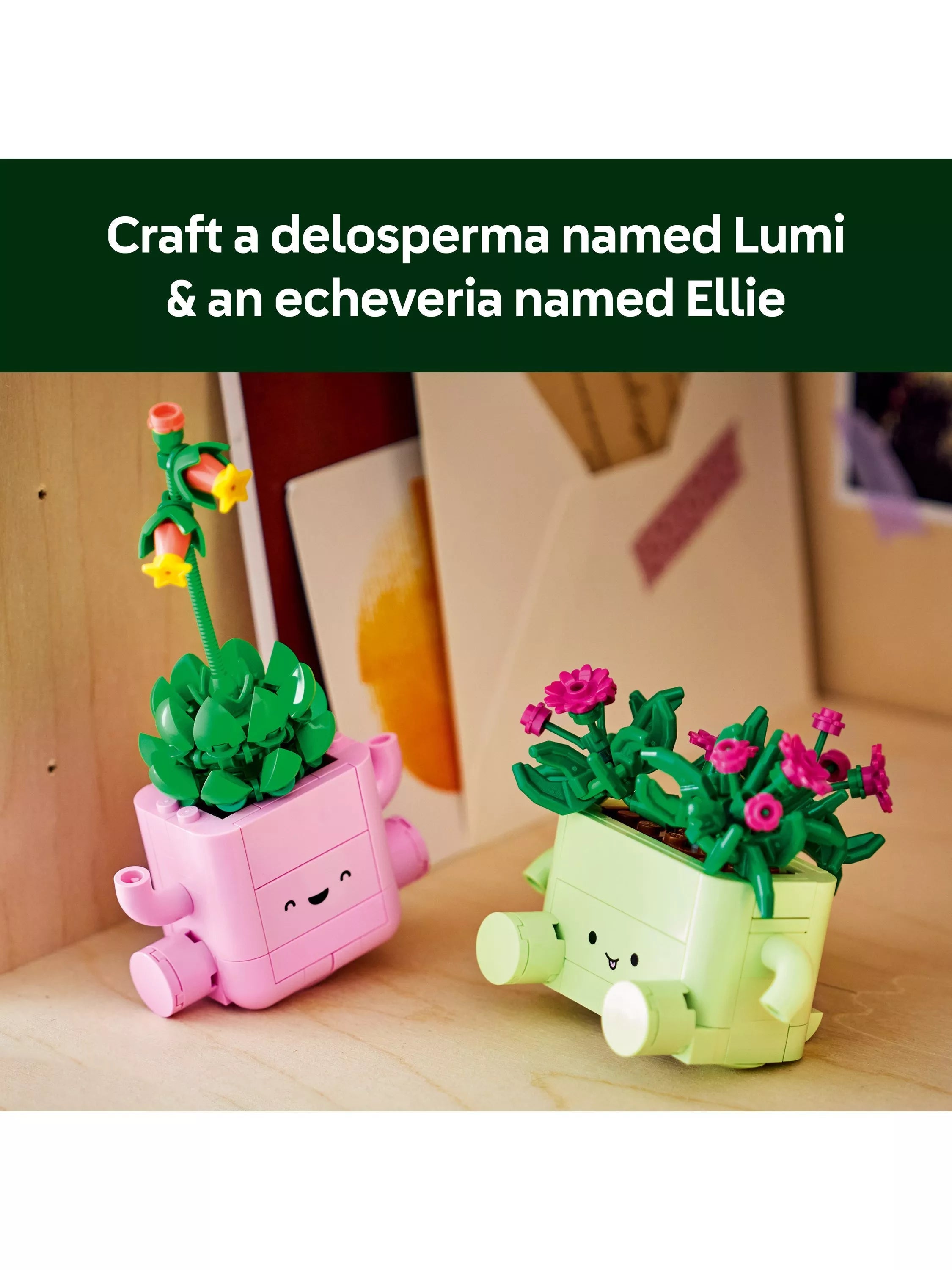 LEGO Botanicals Rocking Plants building toy 11506, UK version