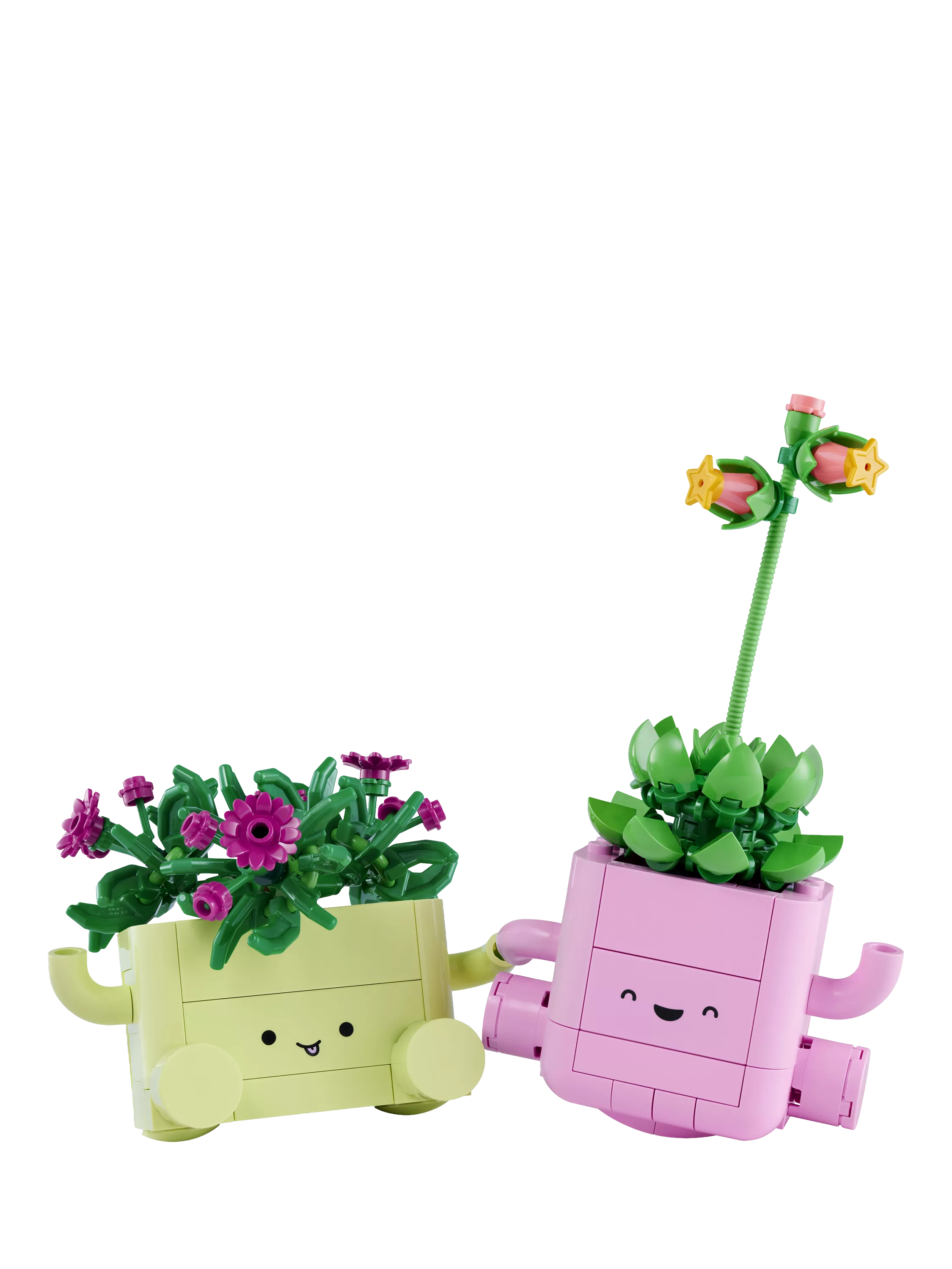 LEGO Botanicals Rocking Plants building toy 11506, UK version