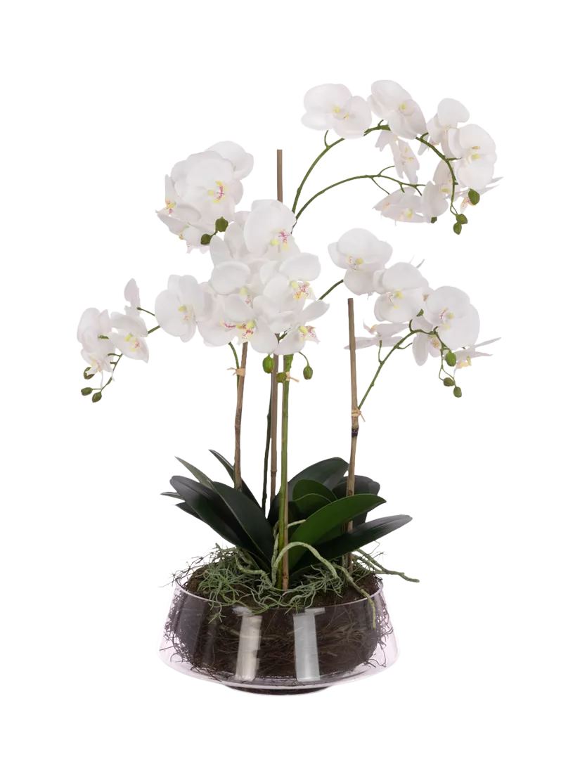 Floralsilk artificial Phalaenopsis orchid bowl 74cm white - British product