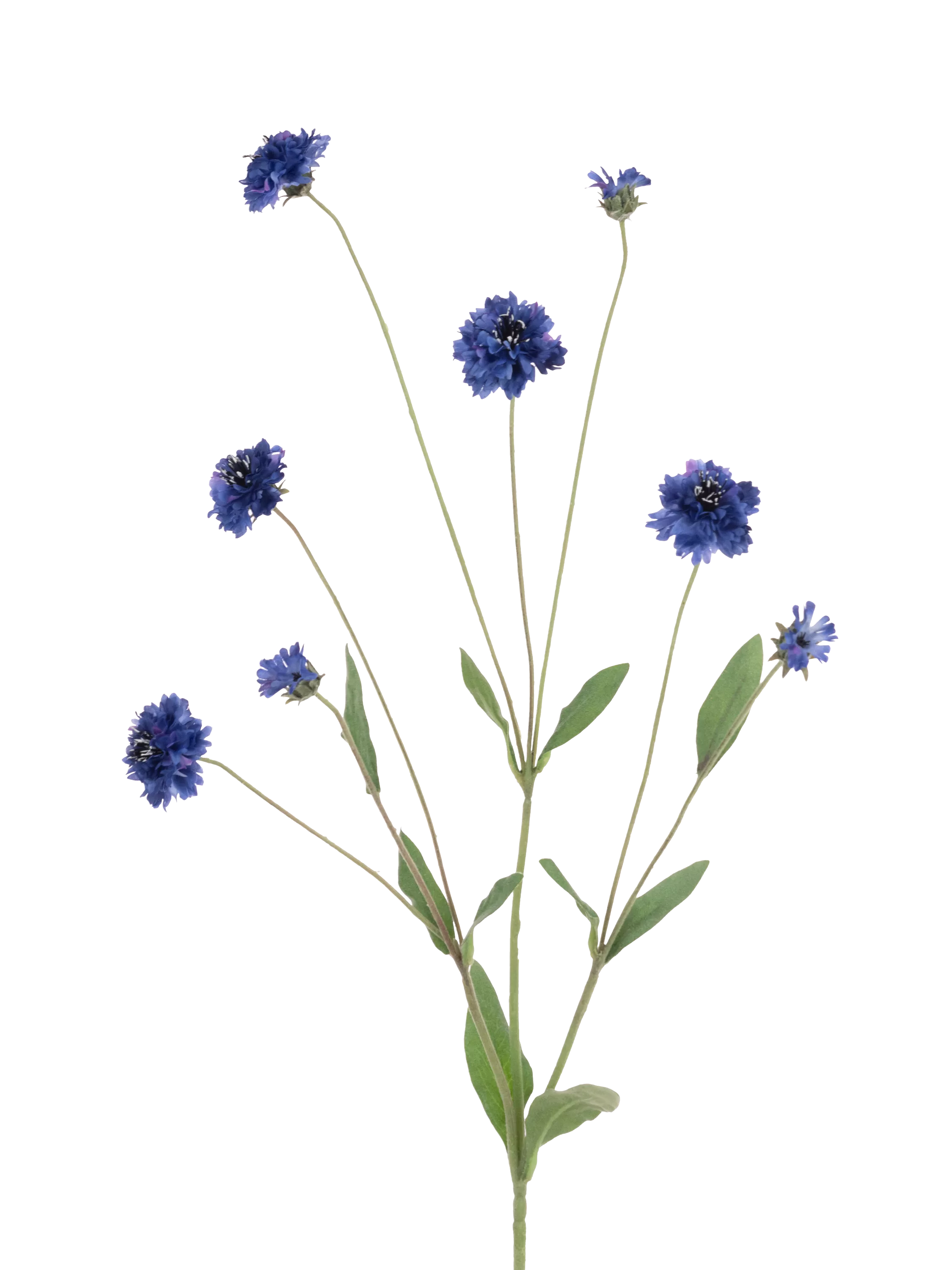 Floralsilk artificial cornflower spray blue 90cm, imported from the UK