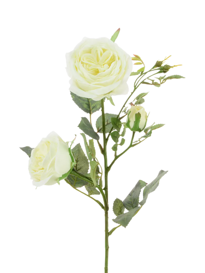 John Lewis Floralsilk Artificial Olivia Rose Spray, 66cm, White- Buy online at McGrocer