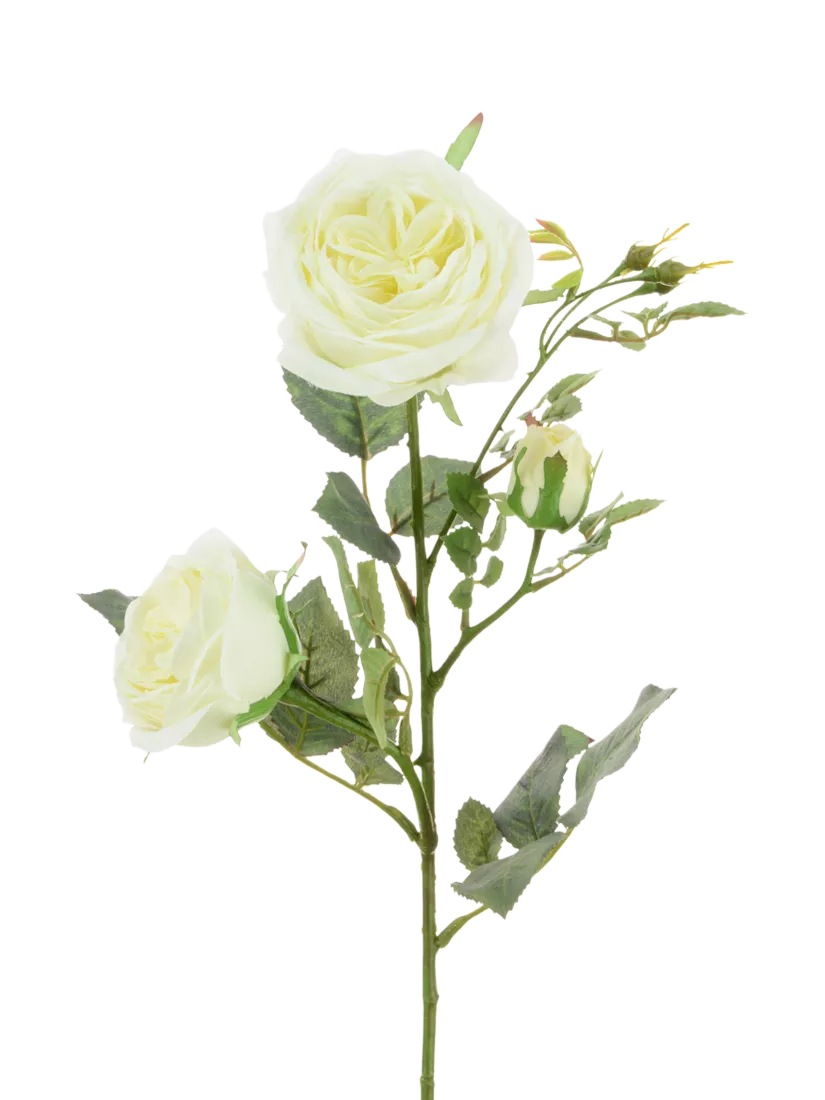 Floralsilk artificial Olivia Rose spray 66cm white - British product