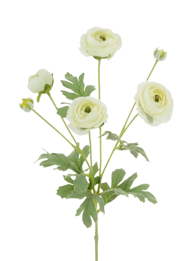 John Lewis Floralsilk Artificial Ranunculus Stem White 66cm- Buy online at McGrocer